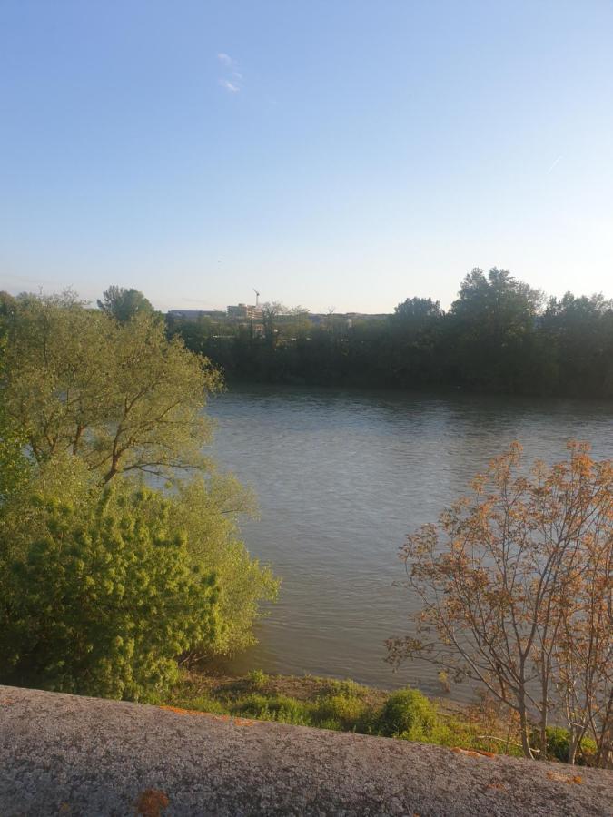 Appart Cosy Sur Berges De Garonne Pour Vacances & Affaires Toulouse Exterior photo